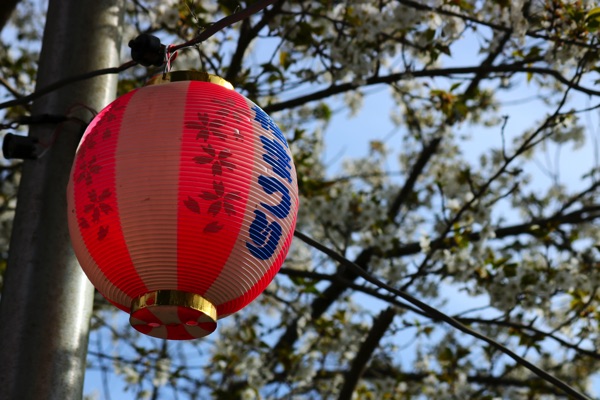 イベント・その他